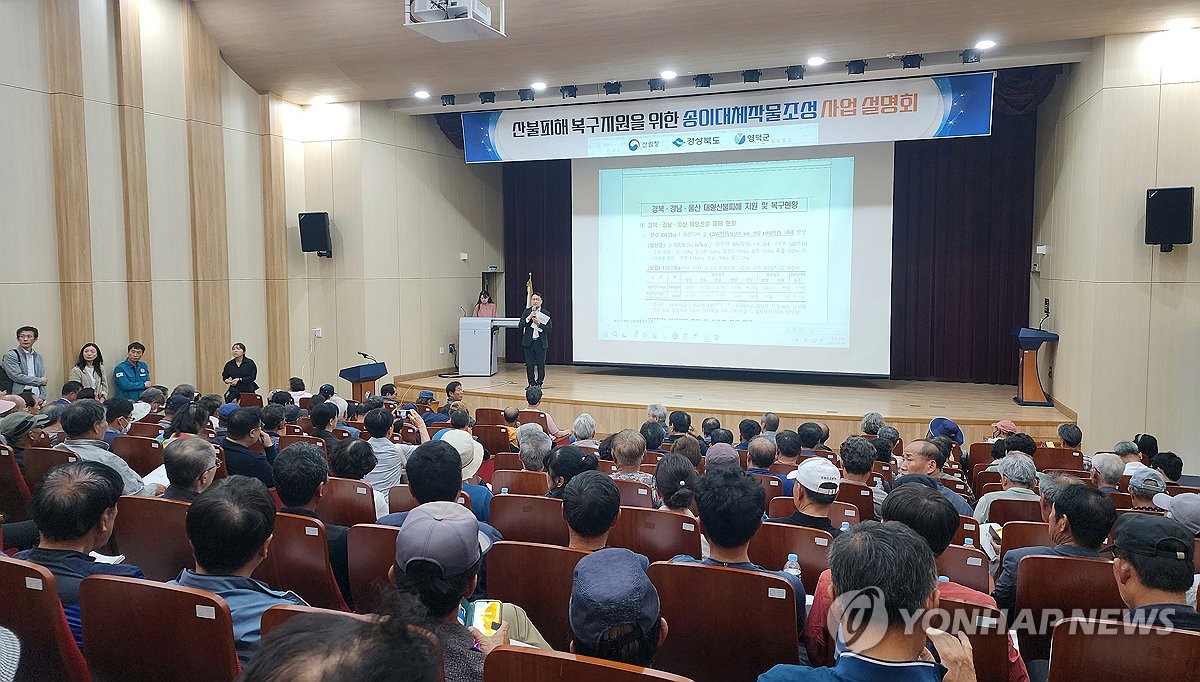 경북산불로 훼손 송이 생산 기반 복원 속도…대량생산 시범사업