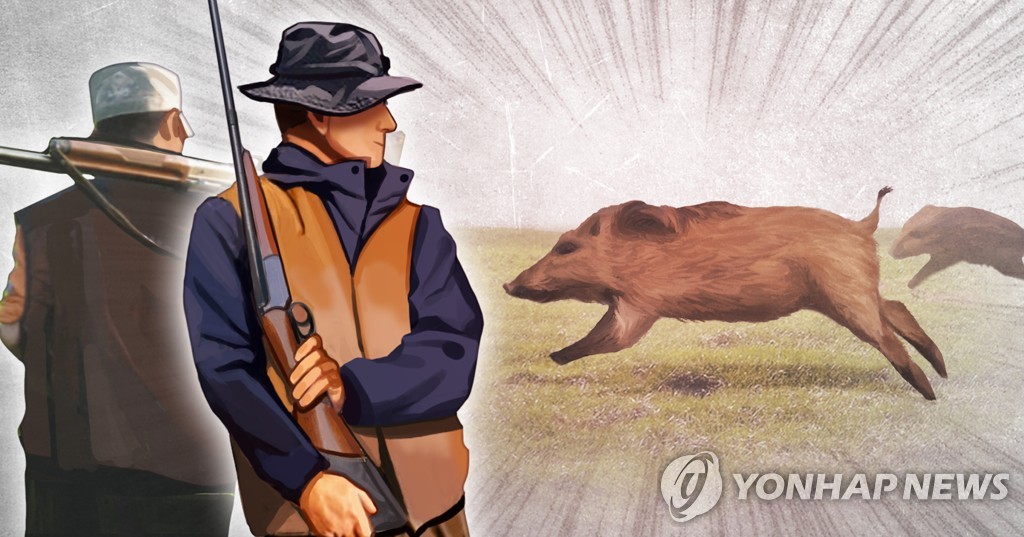 대구 앞산 맨발 산책길서 2주 만에 또 멧돼지 목격 신고